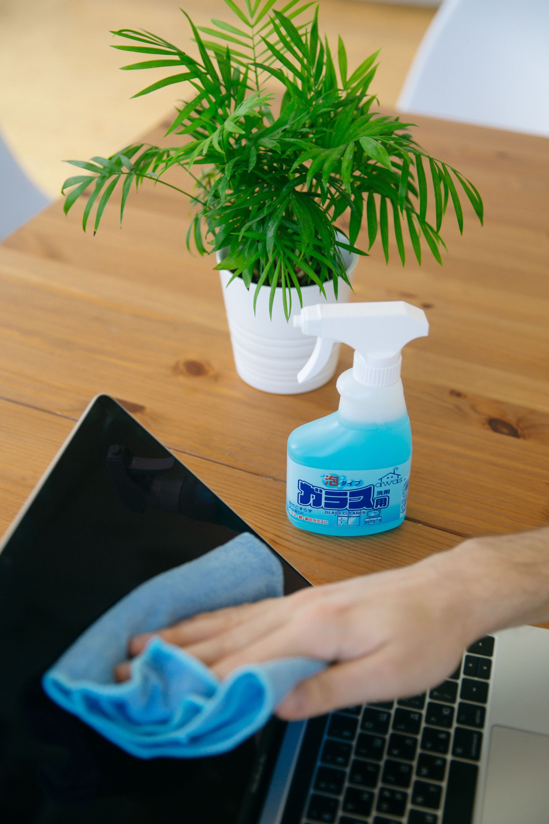 Close-up of a person cleaning a laptop screen with a blue cloth and spray cleaner, next to a houseplant.